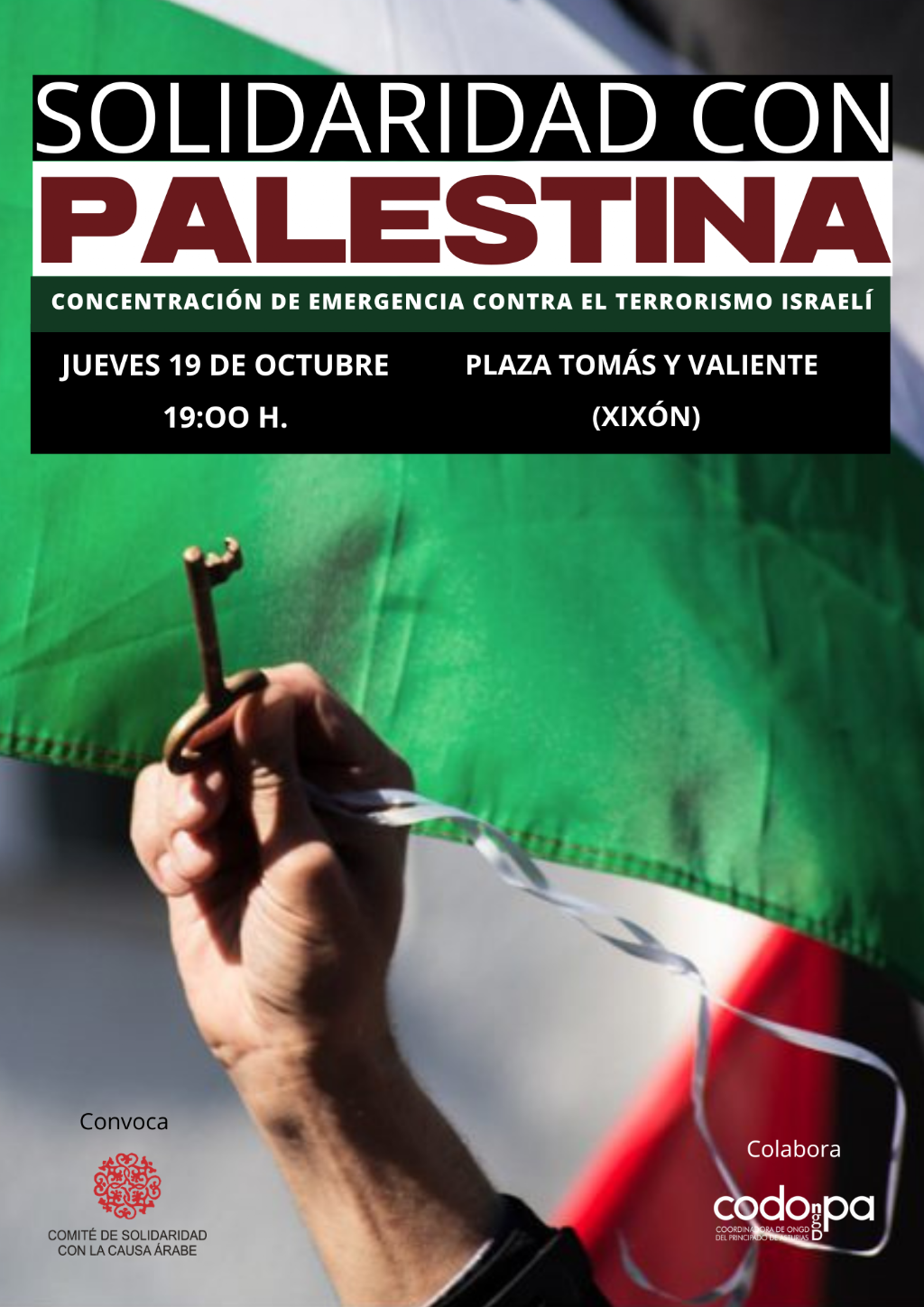 solidaridad con palestina